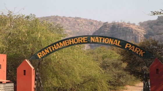 About Ranthambore National Park